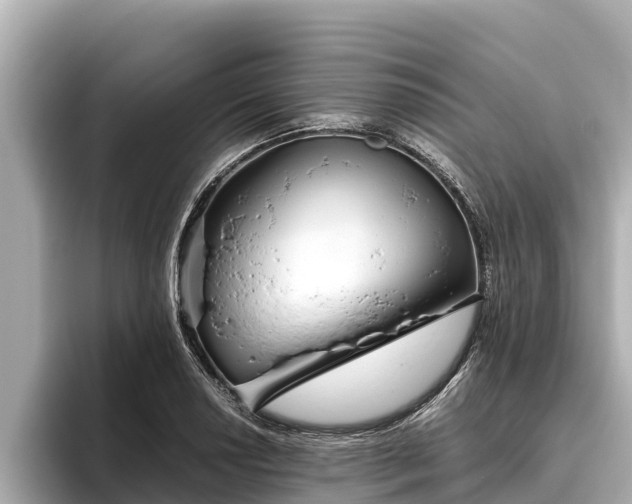 X0000096421034200801311408