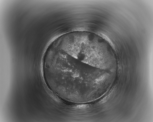X0000096421035200801311408