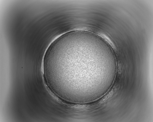 X0000096421036200801311408