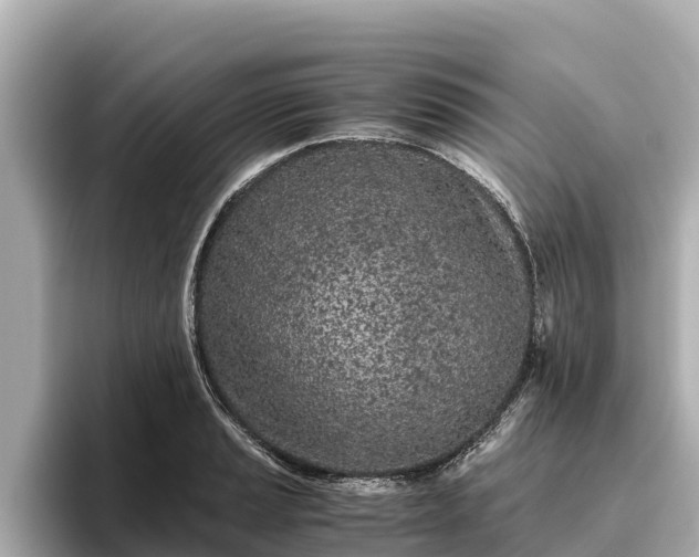 X0000096421037200801311408