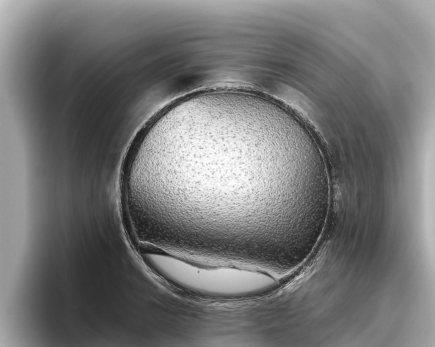 X0000096421038200801311408