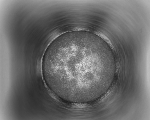X0000096421039200801311408