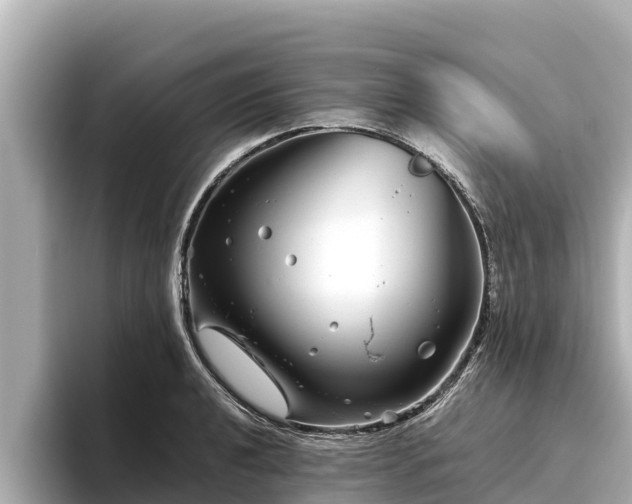 X0000096421040200801311408
