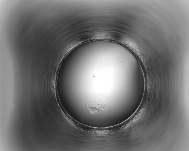 X0000096421041200801311408
