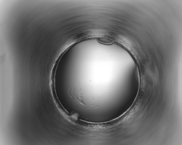 X0000096421042200801311408