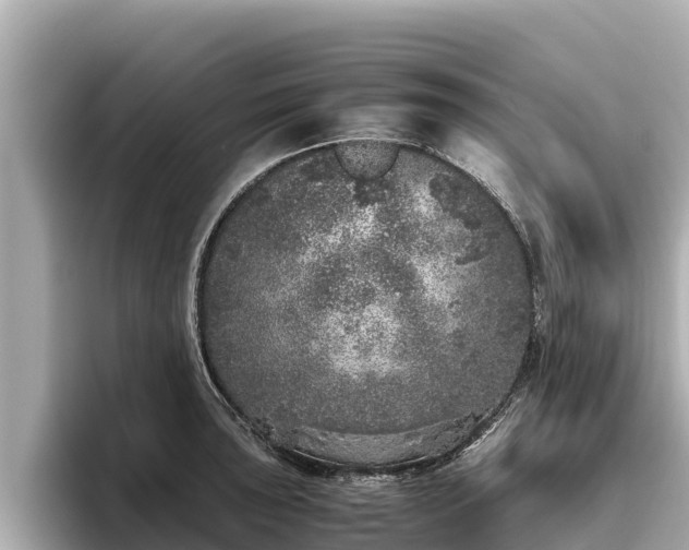 X0000096421043200801311408