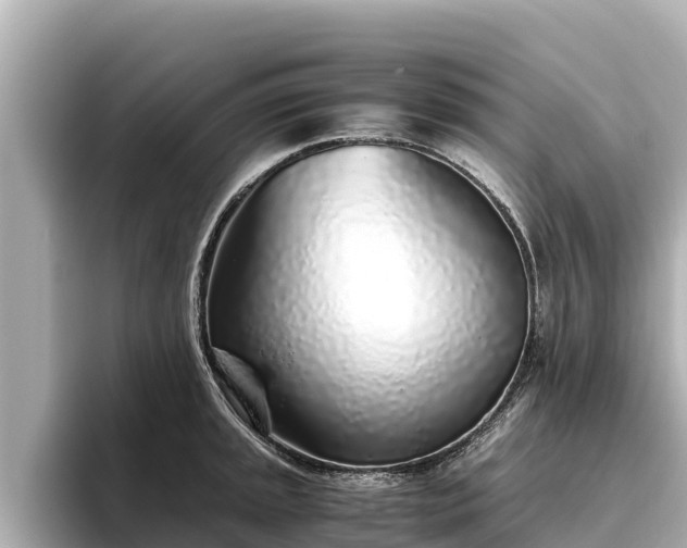 X0000096421045200801311408