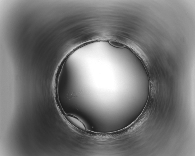 X0000096421046200801311408
