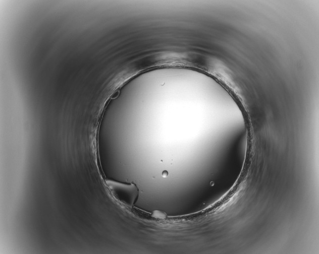 X0000096421049200801311408