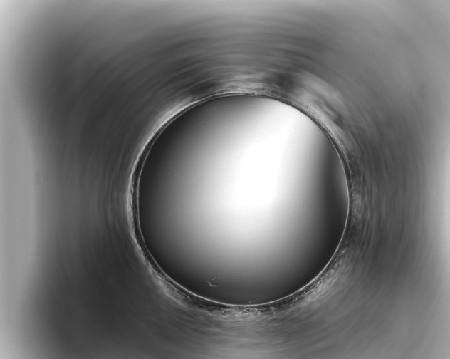 X0000096421050200801311408