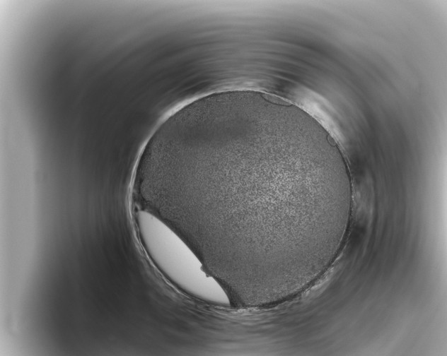 X0000096421052200801311408