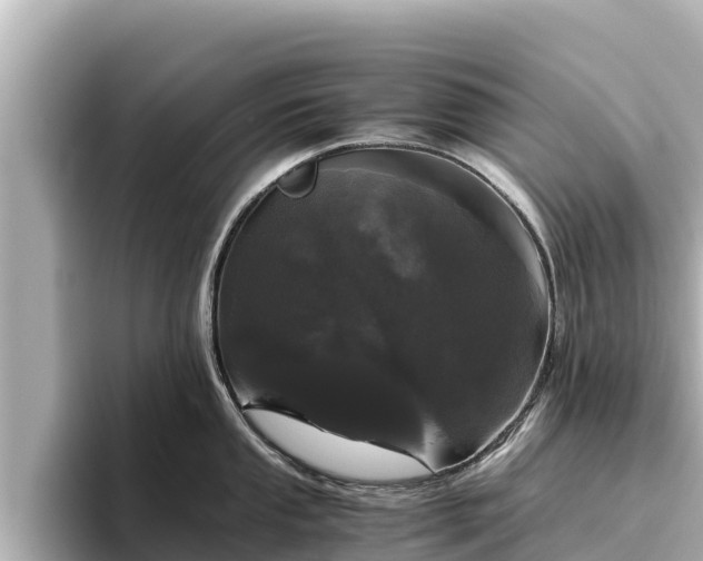 X0000096421053200801311408