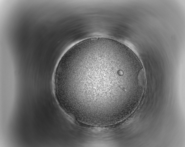 X0000096421056200801311408