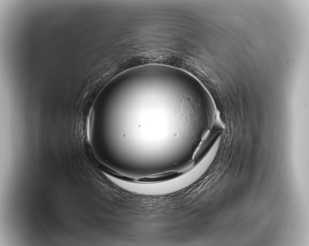 X0000096421058200801311408