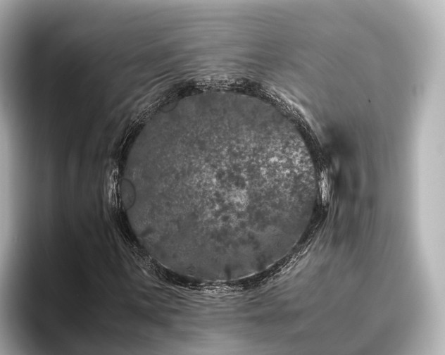 X0000096421059200801311408