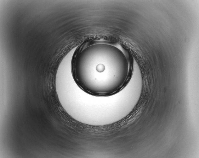 X0000096421060200801311408