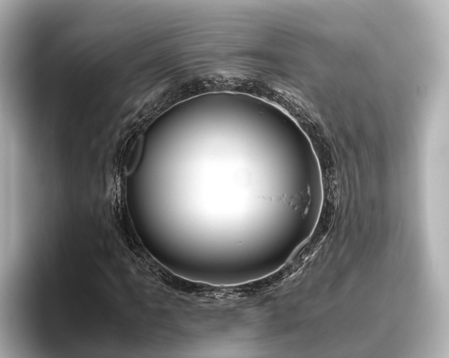 X0000096421061200801311408