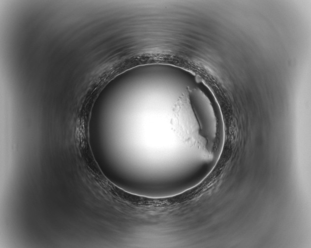X0000096421062200801311408