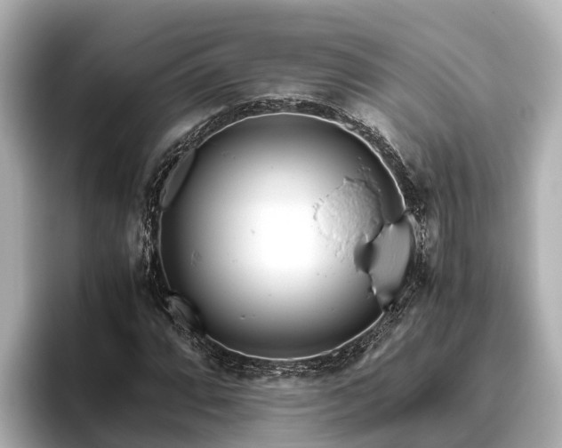 X0000096421064200801311408