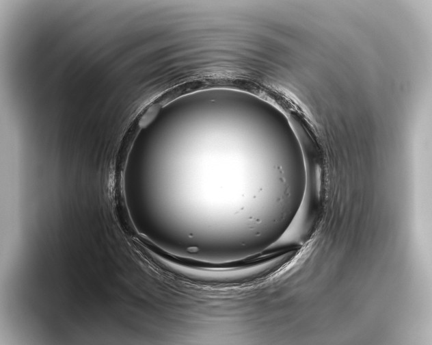 X0000096421065200801311408