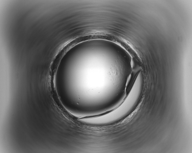 X0000096421066200801311408