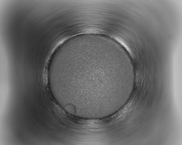 X0000096421067200801311408