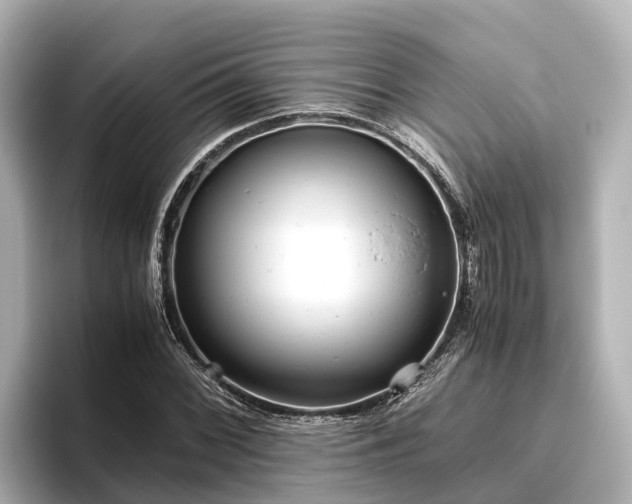 X0000096421068200801311408