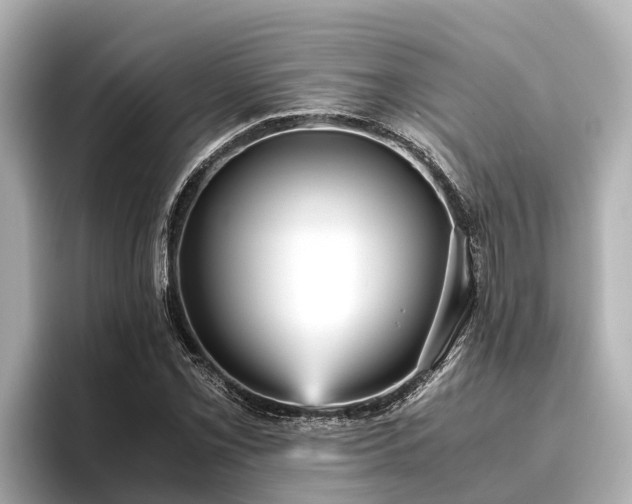 X0000096421069200801311408