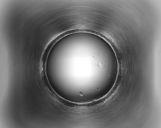 X0000096421070200801311408