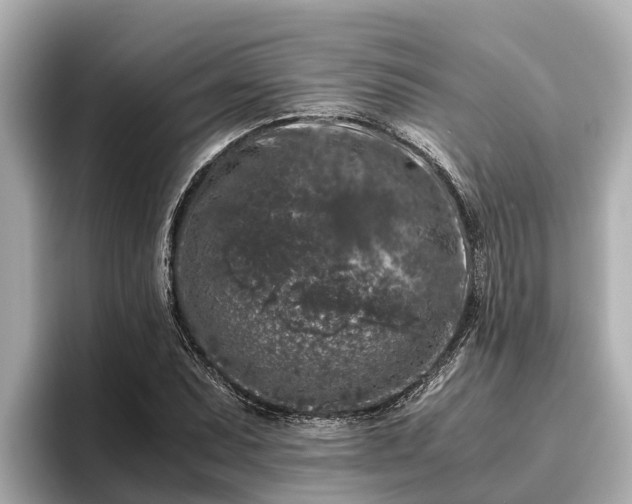 X0000096421071200801311408