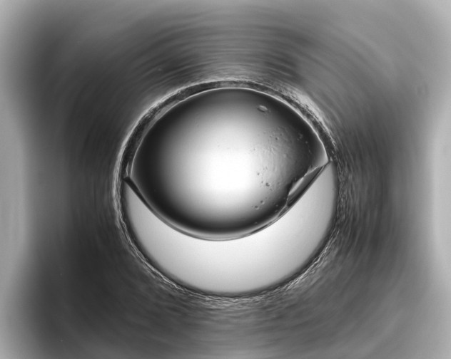 X0000096421072200801311408