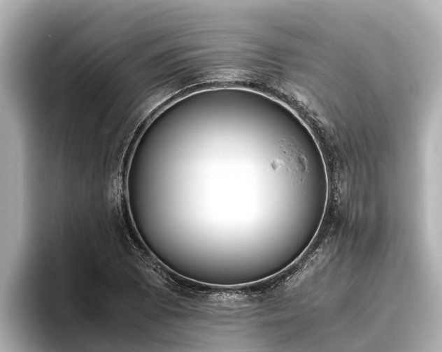 X0000096421073200801311408