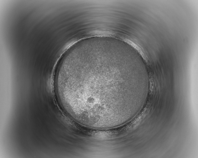 X0000096421074200801311408