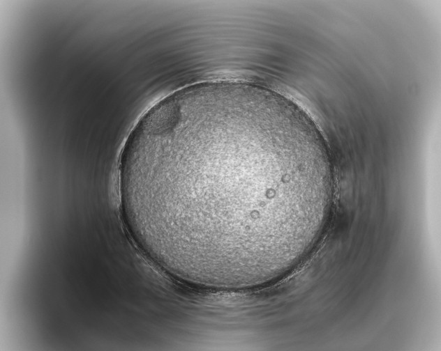 X0000096421075200801311408