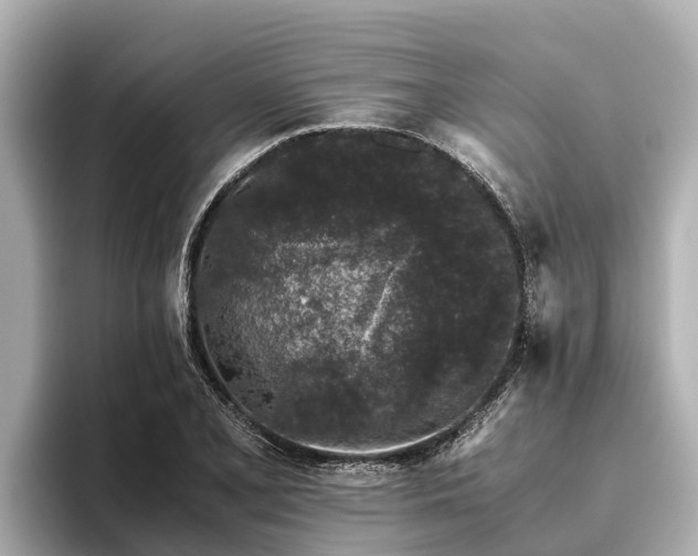 X0000096421077200801311407