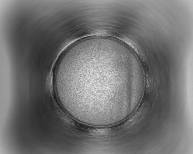 X0000096421078200801311407