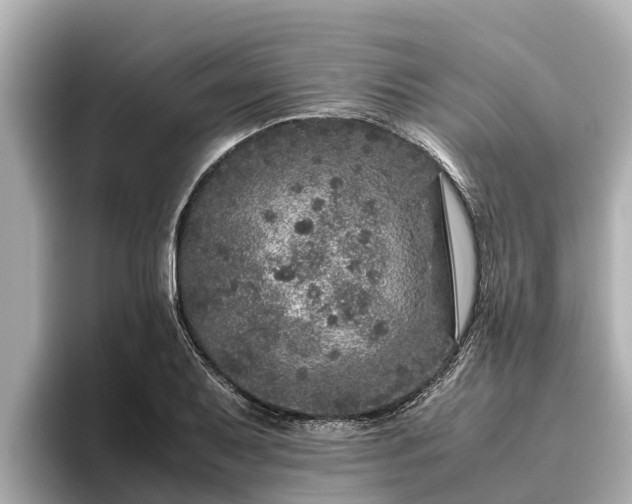 X0000096421079200801311407
