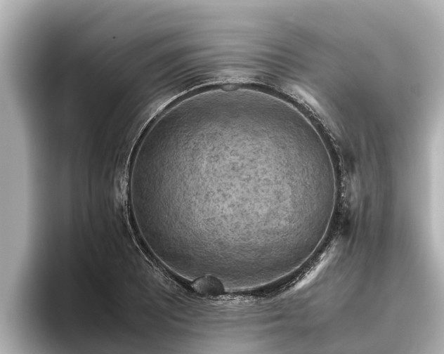X0000096421081200801311407