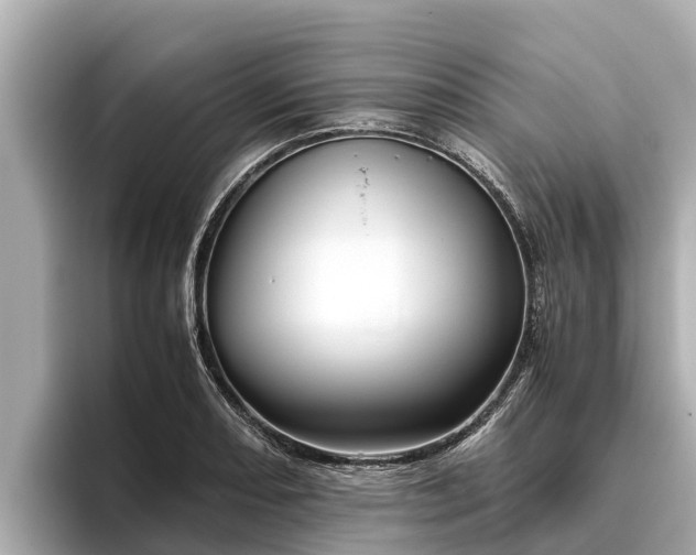 X0000096421082200801311407