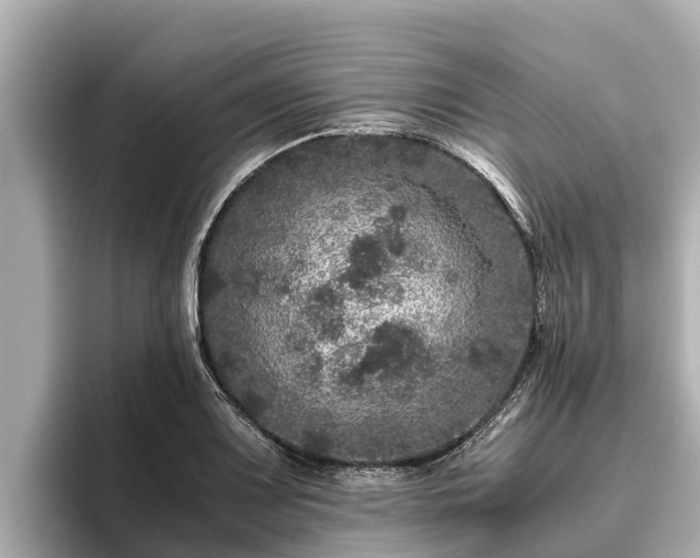 X0000096421083200801311407