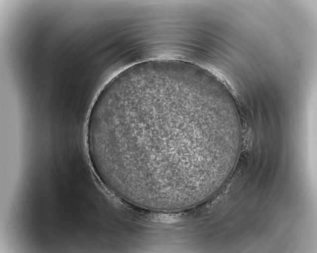 X0000096421086200801311407