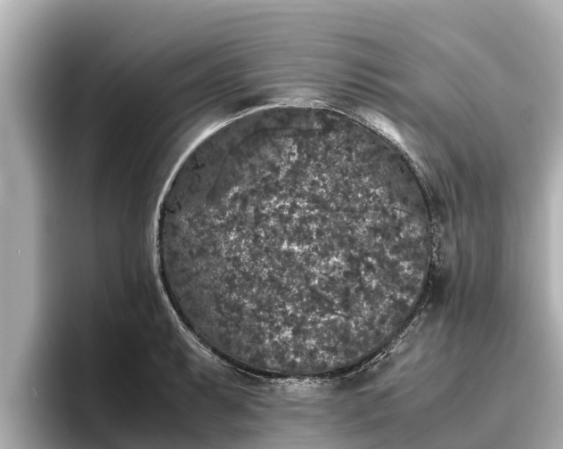 X0000096421087200801311407