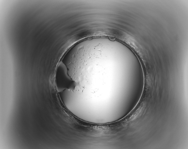 X0000096421089200801311407