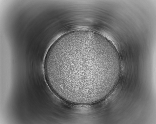 X0000096421090200801311407
