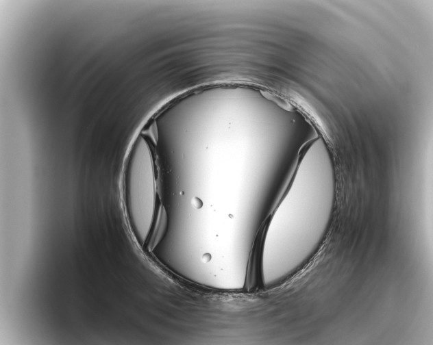 X0000096421092200801311407