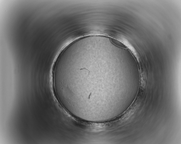 X0000096421096200801311407