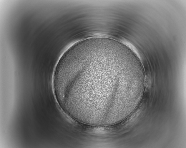 X0000096421098200801311407