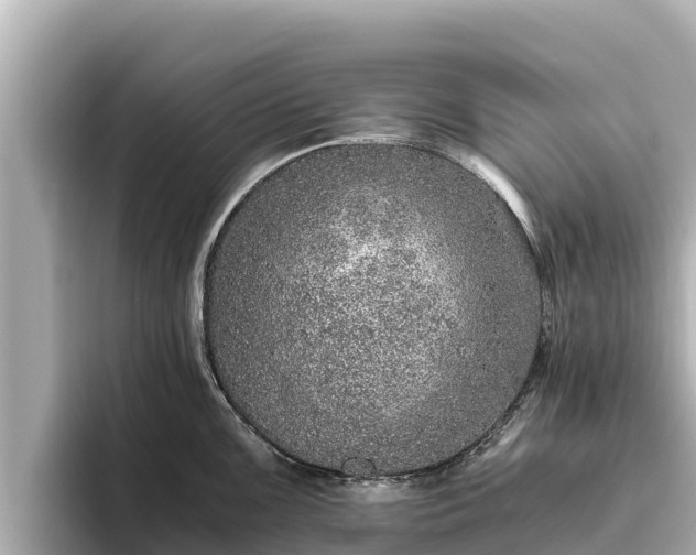 X0000096421099200801311407