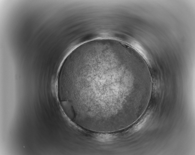 X0000096421100200801311407