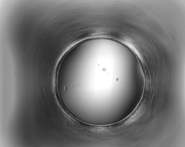 X0000096421101200801311407